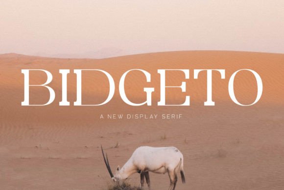 Bidgeto: A Serif Font That Makes Your Brand Feel Instantly Polished