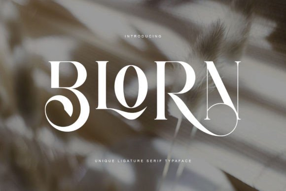 Blorn: A Serif Typeface That Elevates Marketing Visuals