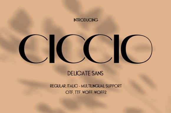 Ciccio: A Modern Sans Serif Font