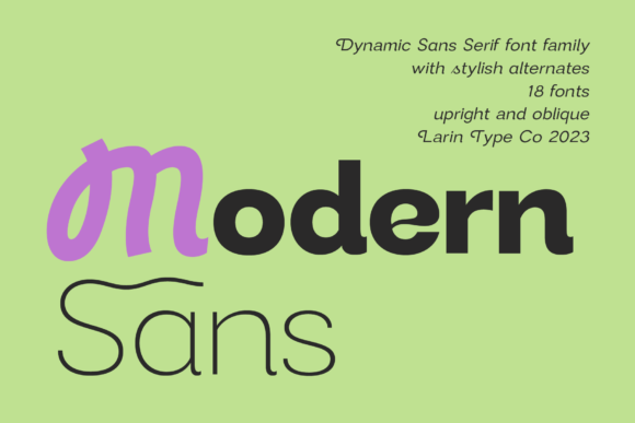 Modern Sans Review: A Designer's Take