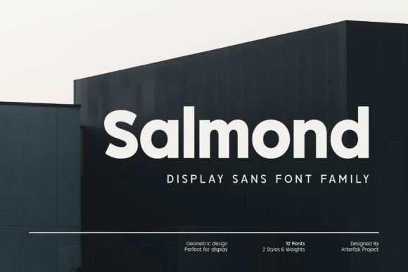 Salmond: A Modern Sans Serif for Clean Design