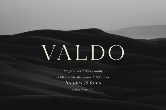 Valdo: A Stylish Serif for Business Branding