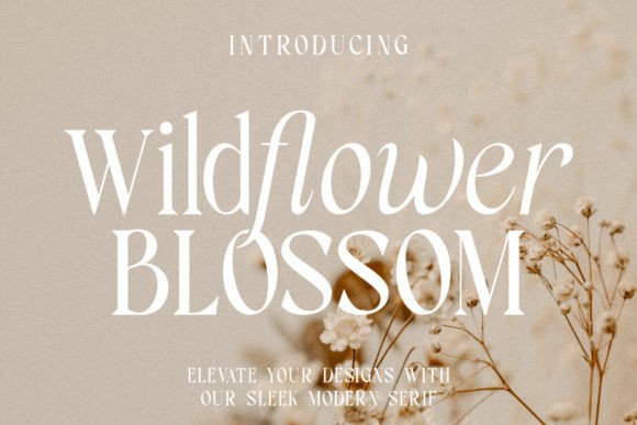 Wildflower Blossom Font Review